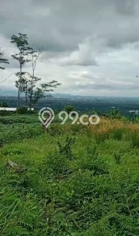 Tanah Dijual Lokasi Strategis di Bogor dengan Luas 1600m2 Tanah Dijual Lokasi Strategis di Bogor dengan Luas 1600m2