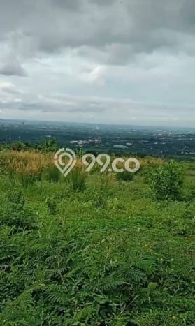 Tanah Dijual Lokasi Strategis di Bogor dengan Luas 1600m2 Tanah Dijual Lokasi Strategis di Bogor dengan Luas 1600m2