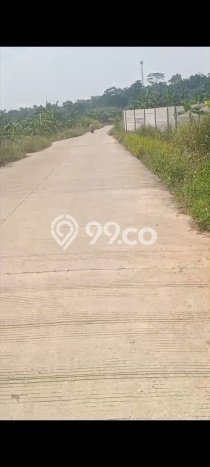 Tanah untuk Dijual Lokasi Citeureup, Bogor Luas 10000m2 - Tanah untuk Dijual Lokasi Citeureup, Bogor Luas 10000m2 -
