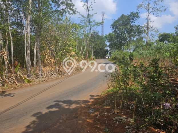 Tanah Dijual Lokasi Tulis, Batang Luas 27730m2 Legalitas Aman Tanah Dijual Lokasi Tulis, Batang Luas 27730m2 Legalitas Aman