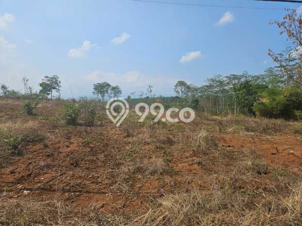 Tanah Dijual Lokasi Tulis, Batang Luas 27730m2 Legalitas Aman Tanah Dijual Lokasi Tulis, Batang Luas 27730m2 Legalitas Aman