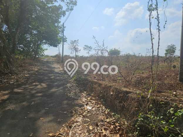 Tanah Dijual Lokasi Tulis, Batang Luas 27730m2 Legalitas Aman Tanah Dijual Lokasi Tulis, Batang Luas 27730m2 Legalitas Aman