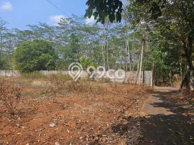 Tanah Dijual Lokasi Tulis, Batang Luas 27730m2 Legalitas Aman Tanah Dijual Lokasi Tulis, Batang Luas 27730m2 Legalitas Aman