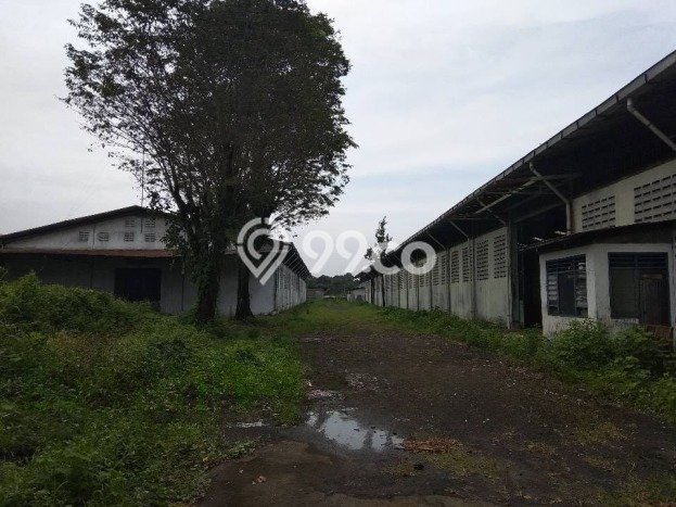 Pabrik Paling Dicari LB 12861m2 Dijual di Curug Pabrik Paling Dicari LB 12861m2 Dijual di Curug