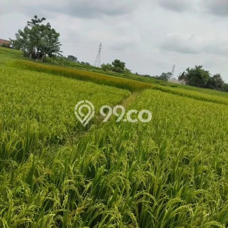 Tanah di Cikande, Serang Luas 150000m2 Dijual Segera Tanah di Cikande, Serang Luas 150000m2 Dijual Segera