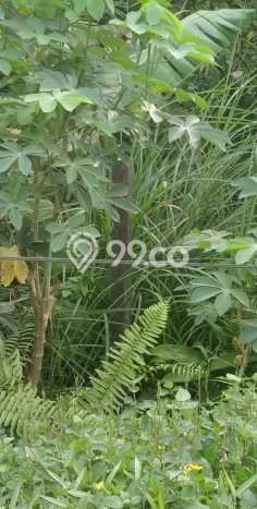 Tanah Dijual Lokasi Balikpapan Utara, Balikpapan Luas 7017m2 Legalitas Aman Tanah Dijual Lokasi Balikpapan Utara, Balikpapan Luas 7017m2 Legalitas Aman