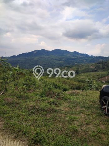 Jarang Ada! Tanah di Sukamakmur Punya Luas 14000m2 SHM Jarang Ada! Tanah di Sukamakmur Punya Luas 14000m2 SHM