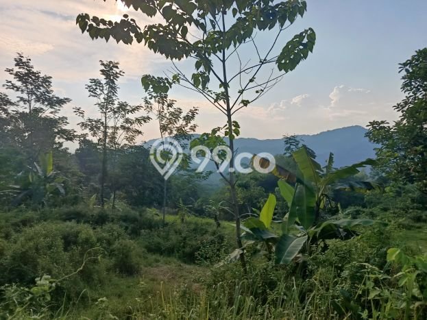 Kavling Tanah Dijual di Sukamakmur, Bogor, Luas 40000m2 Area Strategis Kavling Tanah Dijual di Sukamakmur, Bogor, Luas 40000m2 Area Strategis