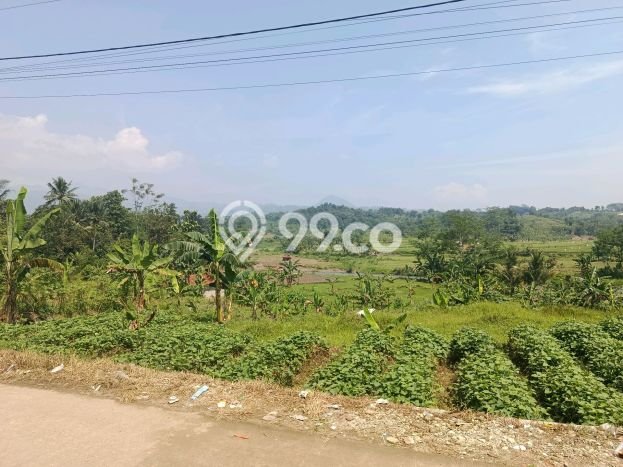 Dijual Tanah di Sukamakmur Bogor Luas 3434m2 SHM Dijual Tanah di Sukamakmur Bogor Luas 3434m2 SHM
