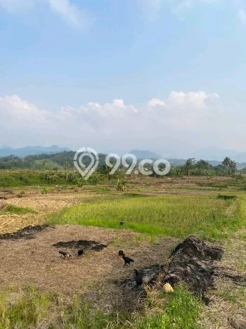 Tanah Dijual Lokasi Sukamakmur Bogor SHM Tanah Dijual Lokasi Sukamakmur Bogor SHM