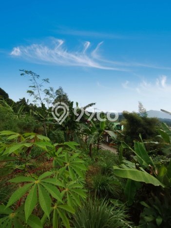 Lahan untuk Dijual Lokasi Sukamakmur, Bogor Luas 6790m2 SHM Lahan untuk Dijual Lokasi Sukamakmur, Bogor Luas 6790m2 SHM