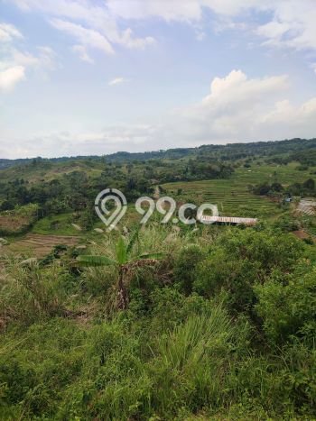 Jarang Ada! Tanah di Sukamakmur Punya Luas 14000m2 SHM Jarang Ada! Tanah di Sukamakmur Punya Luas 14000m2 SHM