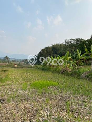 Untuk Dijual Tanah di Sukamakmur Bogor Luas 2645m2 SHM Untuk Dijual Tanah di Sukamakmur Bogor Luas 2645m2 SHM