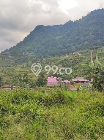 Kavling Tanah Dijual di Sukamakmur, Bogor, Luas 4000m2 Area Strategis Kavling Tanah Dijual di Sukamakmur, Bogor, Luas 4000m2 Area Strategis