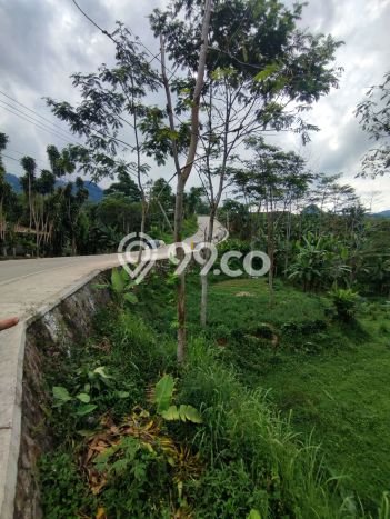 Kavling Tanah Dijual di Sukamakmur, Bogor, Luas 4000m2 Area Strategis Kavling Tanah Dijual di Sukamakmur, Bogor, Luas 4000m2 Area Strategis
