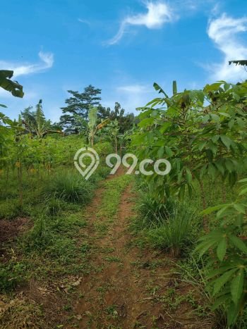 Lahan untuk Dijual Lokasi Sukamakmur, Bogor Luas 6790m2 SHM Lahan untuk Dijual Lokasi Sukamakmur, Bogor Luas 6790m2 SHM