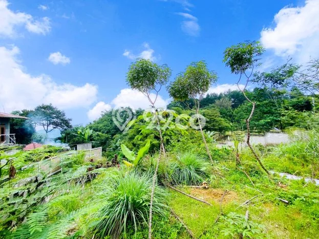 Kavling Tanah Dijual di Sukaraja Bogor Spesifikasi 1521m2 Kavling Tanah Dijual di Sukaraja Bogor Spesifikasi 1521m2