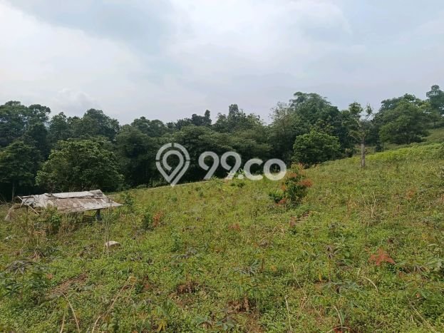 Tanah Area Prospektif di Sukamakmur, Luas 4003m², Akses ke Fasilitas Tanah Area Prospektif di Sukamakmur, Luas 4003m², Akses ke Fasilitas