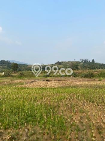 Untuk Dijual Tanah di Sukamakmur Bogor Luas 2645m2 SHM Untuk Dijual Tanah di Sukamakmur Bogor Luas 2645m2 SHM