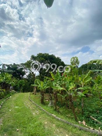 Lahan Investasi Lokasi Sukaraja Bogor SHM Lahan Investasi Lokasi Sukaraja Bogor SHM