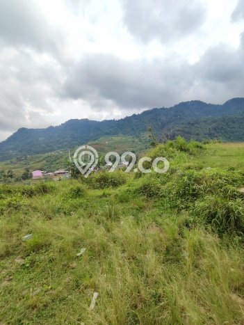 Kavling Tanah Dijual di Sukamakmur, Bogor, Luas 4000m2 Area Strategis Kavling Tanah Dijual di Sukamakmur, Bogor, Luas 4000m2 Area Strategis