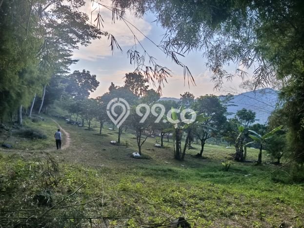 Kavling Tanah Dijual di Sukamakmur, Bogor, Luas 40000m2 Area Strategis Kavling Tanah Dijual di Sukamakmur, Bogor, Luas 40000m2 Area Strategis