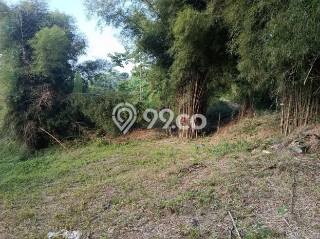 Kavling Tanah Dijual di Sukamakmur, Bogor, Luas 40000m2 Area Strategis Kavling Tanah Dijual di Sukamakmur, Bogor, Luas 40000m2 Area Strategis