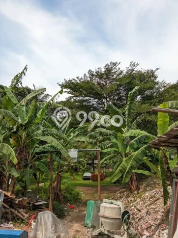 Kavling Tanah untuk Dijual di Katulampa, Bogor, Luas 1700m2 Kavling Tanah untuk Dijual di Katulampa, Bogor, Luas 1700m2