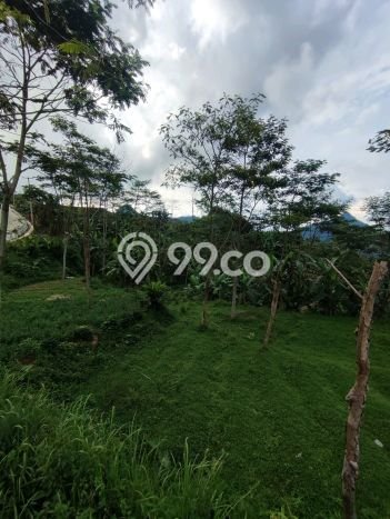 Kavling Tanah Dijual di Sukamakmur, Bogor, Luas 4000m2 Area Strategis Kavling Tanah Dijual di Sukamakmur, Bogor, Luas 4000m2 Area Strategis