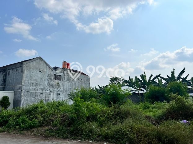 Lahan Investasi Lokasi Sleman Sleman SHM Lahan Investasi Lokasi Sleman Sleman SHM