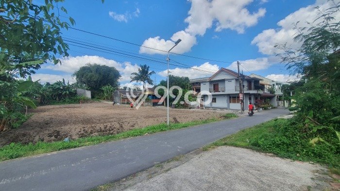 Rumah Luas Asri 3 KT Siap Huni di Sleman Yogyakarta Rumah Luas Asri 3 KT Siap Huni di Sleman Yogyakarta