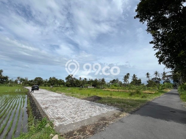 Lahan Strategis di Pakem Dijual dengan Luas 126m2 Lahan Strategis di Pakem Dijual dengan Luas 126m2