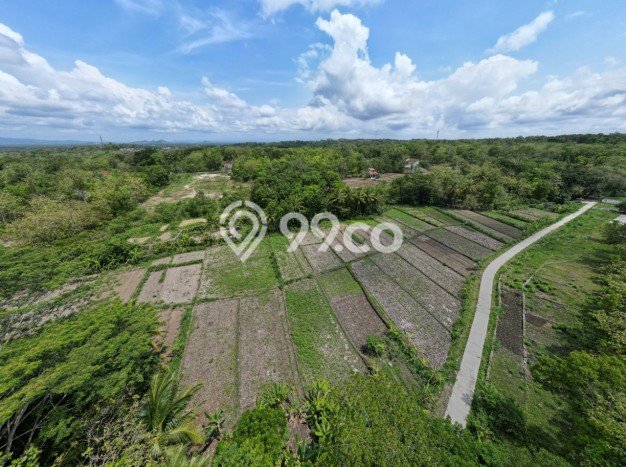 Dijual Tanah Area Prospektif Kawasan Sedayu, Luas 1990m², Dekat Sedayu, Bantul, Bantul Dijual Tanah Area Prospektif Kawasan Sedayu, Luas 1990m², Dekat Sedayu, Bantul, Bantul
