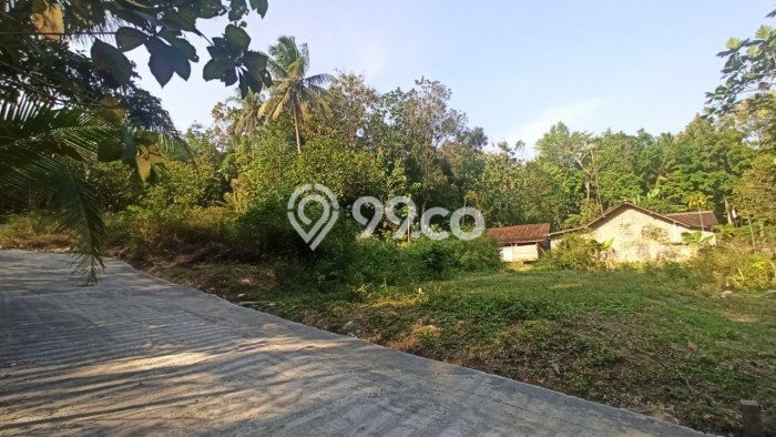 Tanah di Panjatan, Luas 187m², Akses Panjatan, Kulon Progo, Kulon Progo Tanah di Panjatan, Luas 187m², Akses Panjatan, Kulon Progo, Kulon Progo