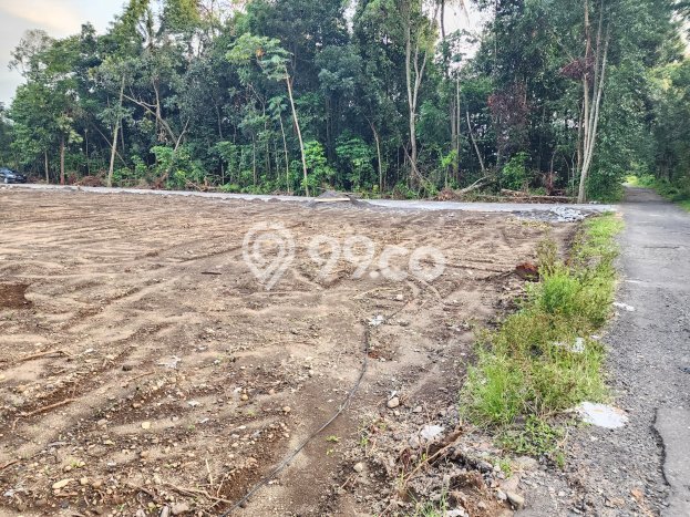 Tanah Dijual Lokasi Depok, Sleman Luas 217m2 Legalitas Aman Tanah Dijual Lokasi Depok, Sleman Luas 217m2 Legalitas Aman