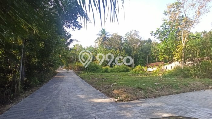 Tanah Premium Kawasan Panjatan, Luas 187m², Dekat Panjatan, Kulon Progo, Kulon Progo Tanah Premium Kawasan Panjatan, Luas 187m², Dekat Panjatan, Kulon Progo, Kulon Progo