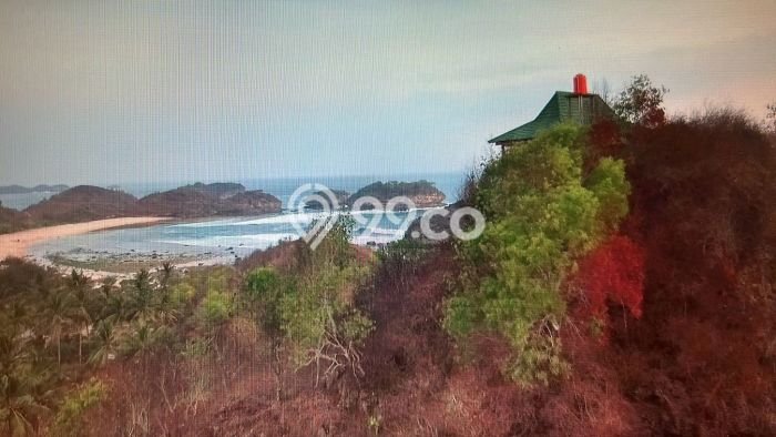 Lahan Kosong Dijual di Pacitan, Pacitan, Luas 4586m2 Area Strategis Lahan Kosong Dijual di Pacitan, Pacitan, Luas 4586m2 Area Strategis