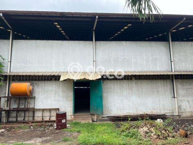 Gudang Bagus Dijual LB 3000m2 Lokasi Strategis Jakarta Barat Area Cocok untuk Bisnis Gudang Bagus Dijual LB 3000m2 Lokasi Strategis Jakarta Barat Area Cocok untuk Bisnis