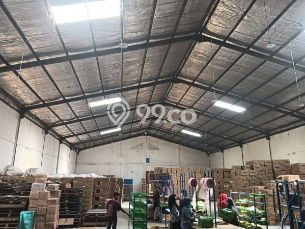 Disewakan Gudang di Kawasan Ramai Dadap Luas 1000m2 Disewakan Gudang di Kawasan Ramai Dadap Luas 1000m2