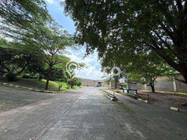 Lokasi Strategis! Dijual Gudang Bisnis di Subang, Subang Kondisi Baik Lokasi Strategis! Dijual Gudang Bisnis di Subang, Subang Kondisi Baik