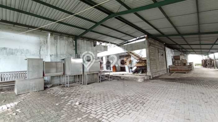 Gudang Dijual Lokasi Stratagis di Tigaraksa Tangerang Cocok untuk Investasi Gudang Dijual Lokasi Stratagis di Tigaraksa Tangerang Cocok untuk Investasi