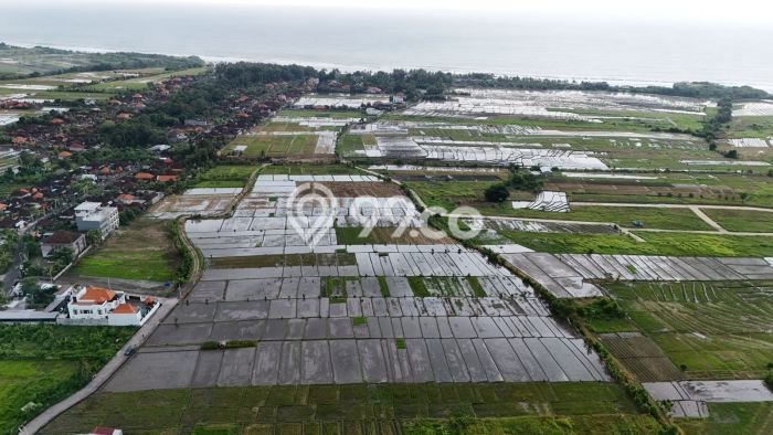 Tanah Strategis Dijual di Kerambitan Tabanan 3000m2 Tanah Strategis Dijual di Kerambitan Tabanan 3000m2