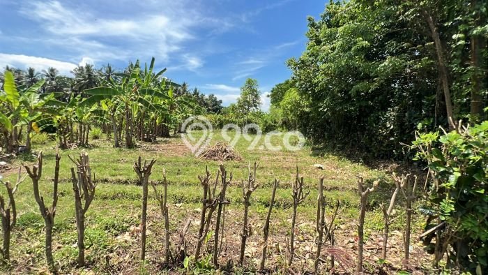 Tanah Dijual di Tabanan Seluas 500m2 Strategis Tanah Dijual di Tabanan Seluas 500m2 Strategis