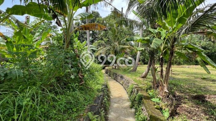 Tanah Investasi Dijual di Tabanan Punya Luas 1350m2 Tanah Investasi Dijual di Tabanan Punya Luas 1350m2