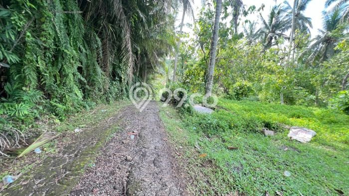 Tanah Kavling Dijual di Bantas, Tabanan dengan Luas Tanah 7100m2 Tanah Kavling Dijual di Bantas, Tabanan dengan Luas Tanah 7100m2