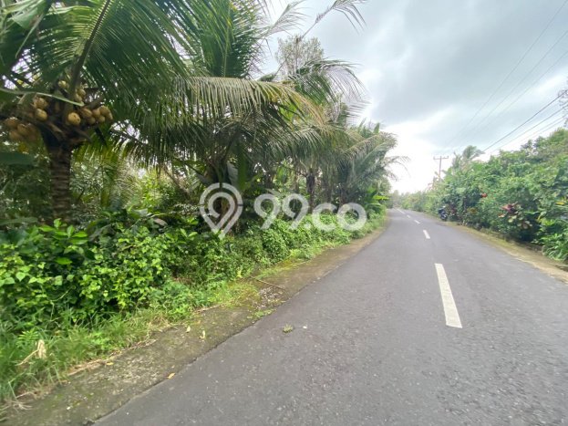 Tanah Dijual Lokasi Selemadeg, Tabanan dengan Luas Tanah 4300m2 dan Status SHM Tanah Dijual Lokasi Selemadeg, Tabanan dengan Luas Tanah 4300m2 dan Status SHM