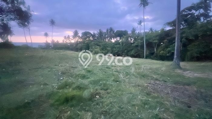 Tanah Strategis Dijual di Selemadeg Tabanan 16800m2 Tanah Strategis Dijual di Selemadeg Tabanan 16800m2