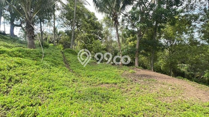 Dijual Tanah 1600m2 di Lumbung Kauh, Tabanan Dijual Tanah 1600m2 di Lumbung Kauh, Tabanan