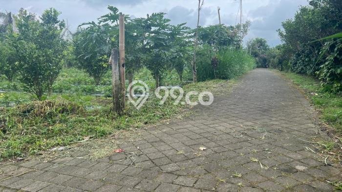 Kavling Tanah di Tabanan Dijual Luas 1000m2 Legalitas SHM Kavling Tanah di Tabanan Dijual Luas 1000m2 Legalitas SHM