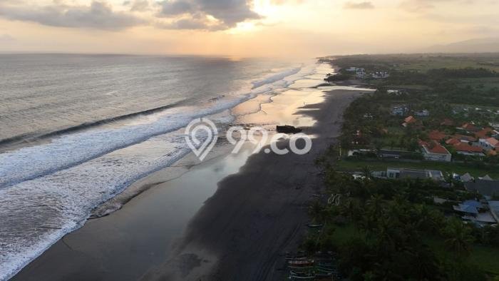 Lahan Investasi Lokasi Kerambitan Tabanan SHM Lahan Investasi Lokasi Kerambitan Tabanan SHM